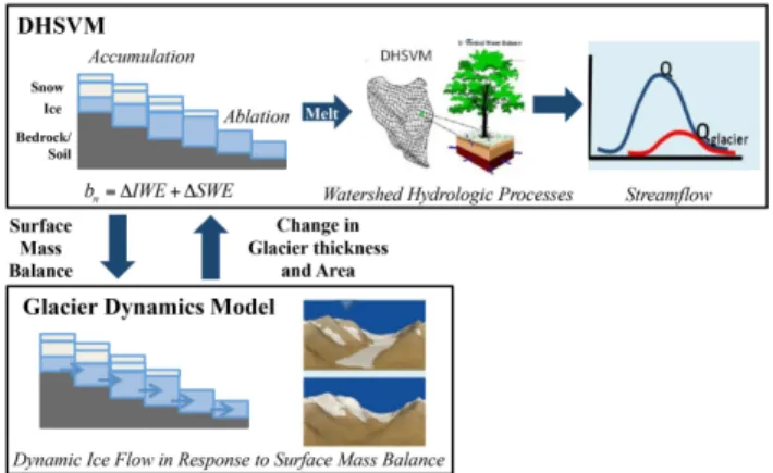 Fig. 1. Schematic of major processes and integration of the Glacier Dynamics Model (GDM) and DHSVM