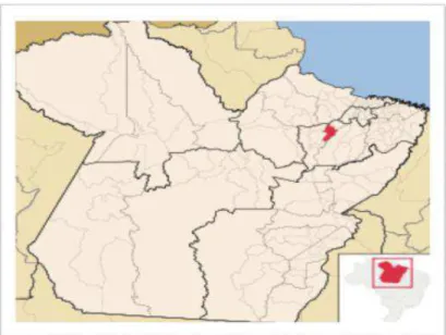 Figura 1 - Localização do Município de Igarapé-Miri no Estado do Pará. 