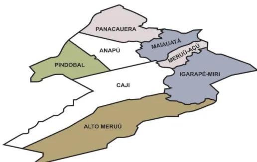 Figura 2 - Mapa do município de Igarapé-Miri, dividido por distritos. 