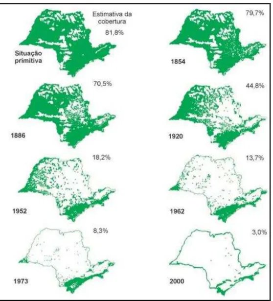 Figura 3 – Reconstituição da Cobertura Florestal do Estado de São Paulo. 