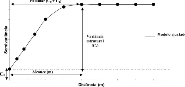 Figura 1.2. Variograma experimental de um atributo qualquer do solo. 