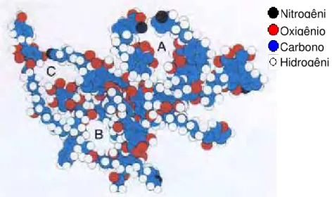Figura 1 – Modelo conceitual proposto para a teoria macromolecular. As letras A, B e C  representam os espaços “vazios” na molécula (Schulten e Schnitzer, 1995)
