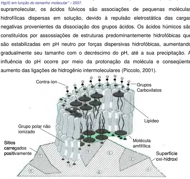 Figura 2 – Estrutura da membrana como húmica sob superfície oxi-hidróxidos (Whershaw,  1993)