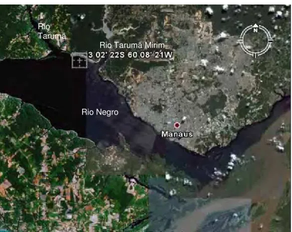 Figura 5 – Ponto de coleta das amostras de água no Rio negro-AM, entre as confluências  dos Rios Tarumã e Tarumã Mirim, na Praia da Lua GPS:3 02’ 22S 60 08’ 21W
