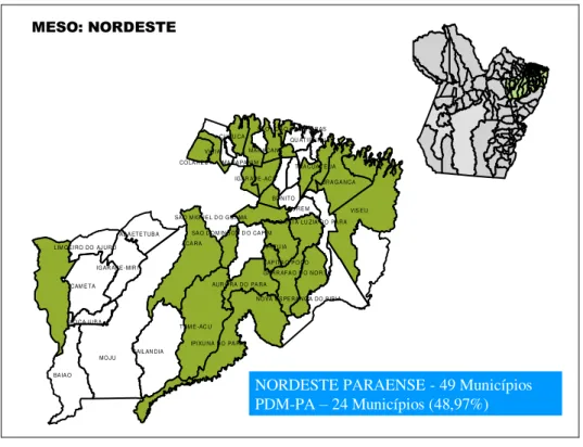ILUSTRAÇÃO 15  –  Mesoregião  –  Nordeste Paraense - Municípios Participantes do PDM-PA-2006 
