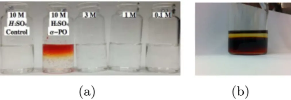 Fig. 3. (a) Photograph of reaction vials after 19 h of gas-phase uptake to αPO to acid solutions of (second on left to right) 10, 3, 1, and 0.1 M