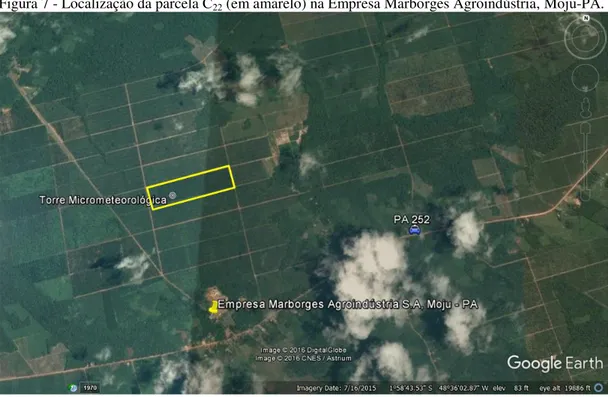 Figura 7 - Localização da parcela C 22  (em amarelo) na Empresa Marborges Agroindústria, Moju-PA