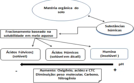 Figura  2.  Esquema  de  fracionamento  do  material  orgânico  e  das  substâncias  húmicas presentes no solo (ROSA et al., 2005) 