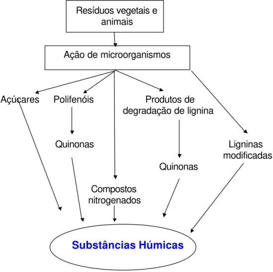 Figura 1.2 - Principais vias propostas para a formação das substâncias húmicas. 