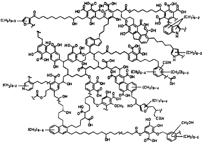 Figura 1.3 - Estrutura proposta para o ácido húmico (SCHULTEN, 1995). 