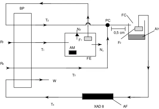 Figura 2.3  - Diagrama do procedimento em fluxo proposto para extração,  fracionamento de substâncias húmicas e purificação de ácido fúlvico de solos