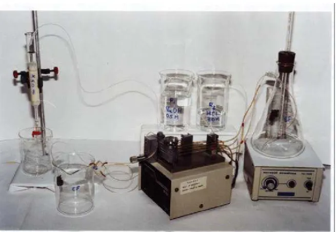 Figura 2.4  - Sistema em fluxo para extração, fracionamento das substâncias  húmicas e purificação de ácido fúlvico de solos