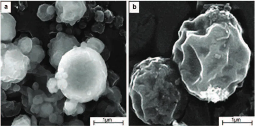 Figure 3. SEM of microparticles using high vacuum technique. a) Intact chitosan-Ca-alginate microparticles; 