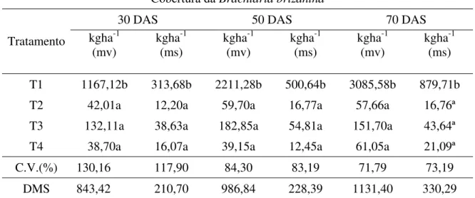 Tabela 3. Resultado de análise de mv e ms da Brachiaria brizantha aos 30, 50 e 70 DAS