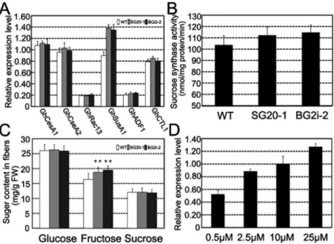 Figure 3. Sucrose synthase expression in GA overproduction cotton fibers. (A) Quantitative RT-PCR expression analyses of secondary cell wall related genes in 20-dpa fibers