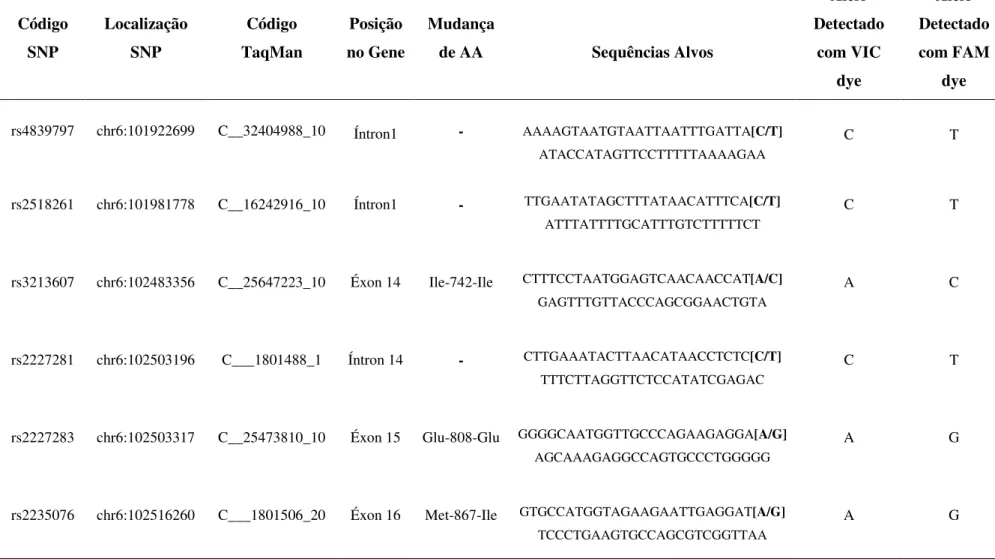 Tabela 1:  Informações sobre os SNPs testados do gene  GRIK2 , tais como: identificação (rs), posição no cromossomo, código TaqMan,  região no gene, mudança de aminoácido (AA), sequencias alvos e alelos detectados com VIC e FAM dyes.