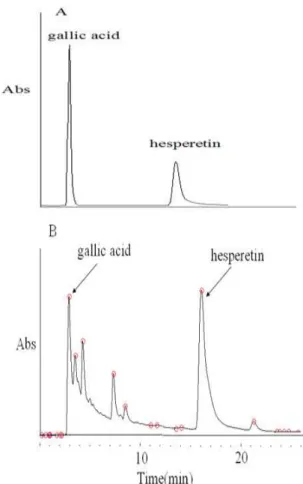 Figure  1.  HPLC  chromatogram  of  standards  of  gallic  acid  and  hesperetin  (A)  and  Eriobotrya  japonica flower extract (EJFE) (B)