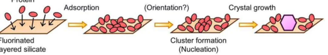 Figure S1 Schematic representation of typical layered silicate having a 2:1 type structure.