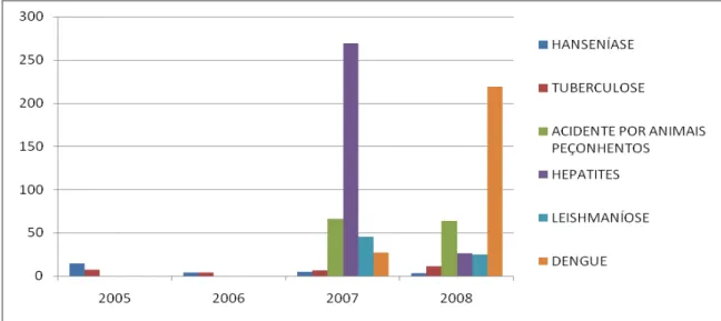 Gráfico 1  –  Identificação das doenças e acidentes no município de Juruti no período de 2005-2008