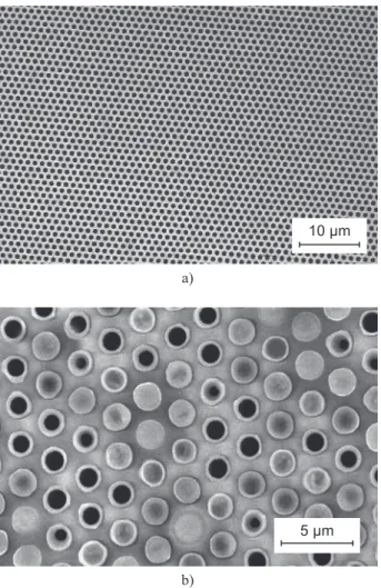 Figure  4.    SEM  photograph  of  an  ordered  array  of  PZT  mi- mi-crotubes.