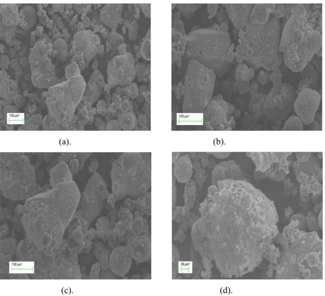 Figura 1. Eletromicrografias de varredura com escala real obtidas do produto  soro de leite seco