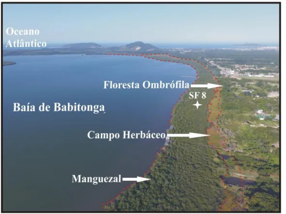 Figura 12: A) Local de coleta do testemunho SF8, na margem leste da Baía de Babitonga, Norte  de Santa Catarina