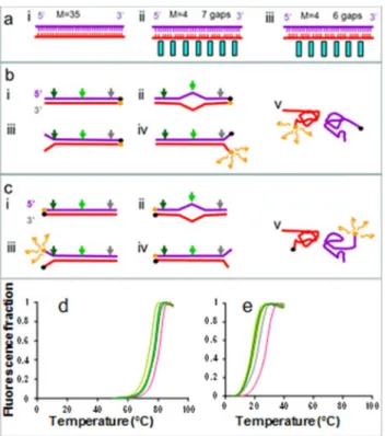 Fig 1D and 1E shows the normalized fluorescence intensity as a function of increasing tem- tem-perature for R measurements