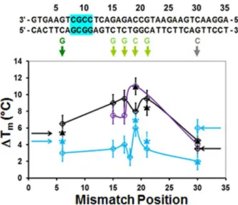 Fig 3. ΔT m as a function of the position of single mismatches. The sequence is shown at the top of the figure The single base pair mismatch replacements are shown below in colors corresponding to the colors of the curves shown in Fig 1D and 1E