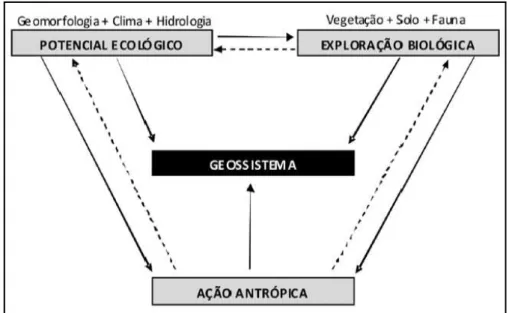 Figura 01  –  Modelo Geossistêmico de Bertrand 