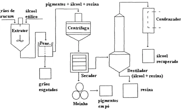 Figura 7.  Processo de extração de pigmentos do urucum,  por meio de álcool etílico. 