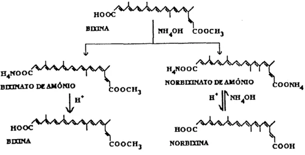 Figura  11.  Reações químicas para obtenção de bixina e norbixina,  utilizando-se solução  alcoólica de NH 4 0H 