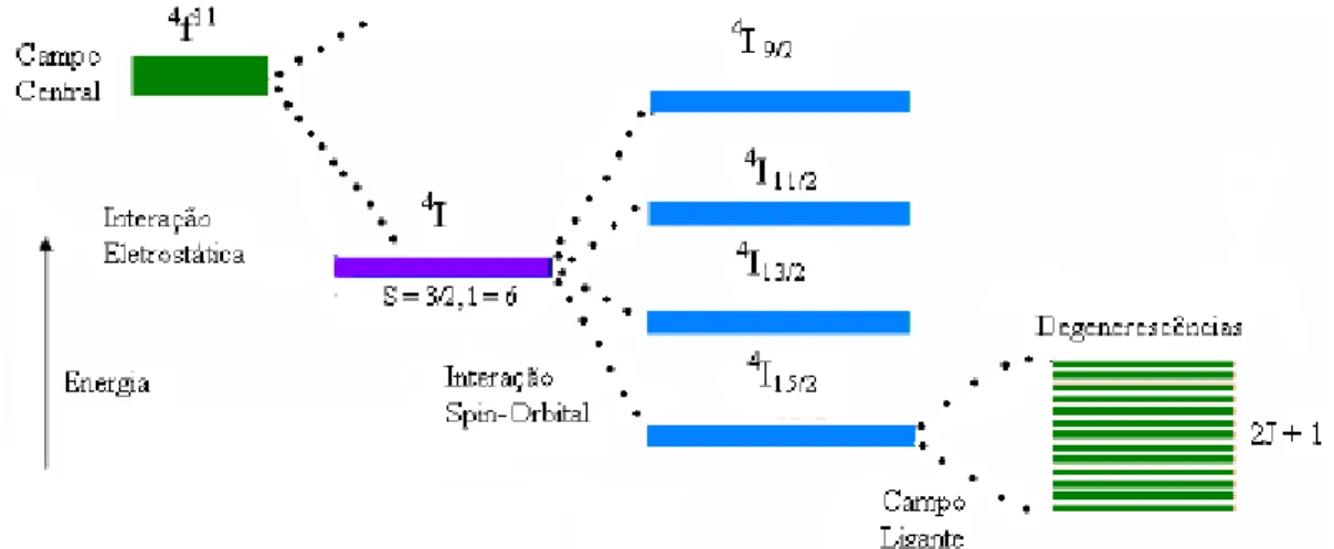 Figura 5.2 Níveis do íon trivalente de érbio desdobrado por várias interações [3]. 