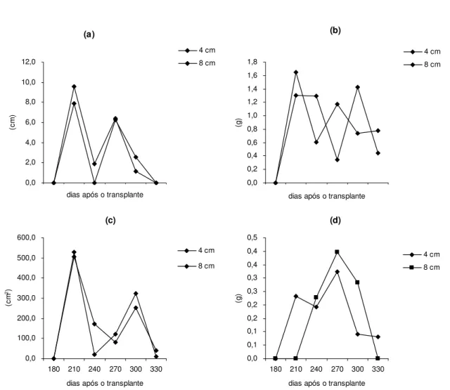 Figura 2. Incrementos da altura da brotação (a), massa seca de parte aérea (b), área foliar (c) e massa  seca de raízes totais (d) de mudas de cacaueiro produzidas a partir de dois comprimentos de  miniestacas do clone TSH 1188 e avaliadas em função do tem