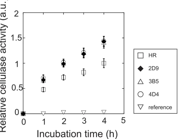 Fig 5. Cellulase activity of the transgenic strains obtained from the combinatorial screening