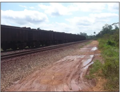 Figura 7 - Trecho da estrada de Ferro Carajás que corta  o Assentamento Palmares II 