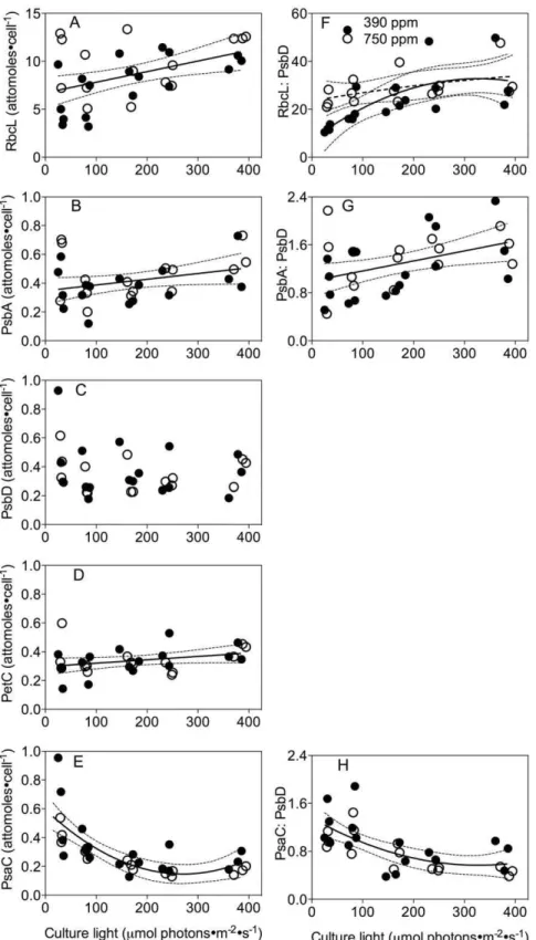 Figure 6. Representative protein subunits per cell for complexes mediating photosynthesis versus growth light