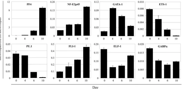 Figure 2. FLI-1 and GATA-1 synergistically activate the PF4 promoter. (A) Expression of ETS family proteins and GATA-1 in megakaryocytic HEL cells and non-megakaryocytic HepG2 cells