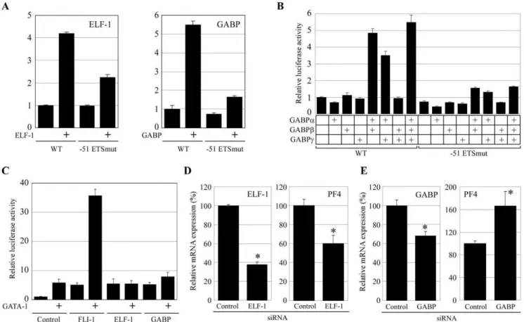 Figure 5. FLI-1, ELF-1, and GABP activate the PF4 promoter through the 251 ETS site. (A) Coexpression assays were performed in HepG2 cells by using the expression vectors for FLI-1, ELF-1, and GABP (consisting of a, b and c), and luciferase constructs cont