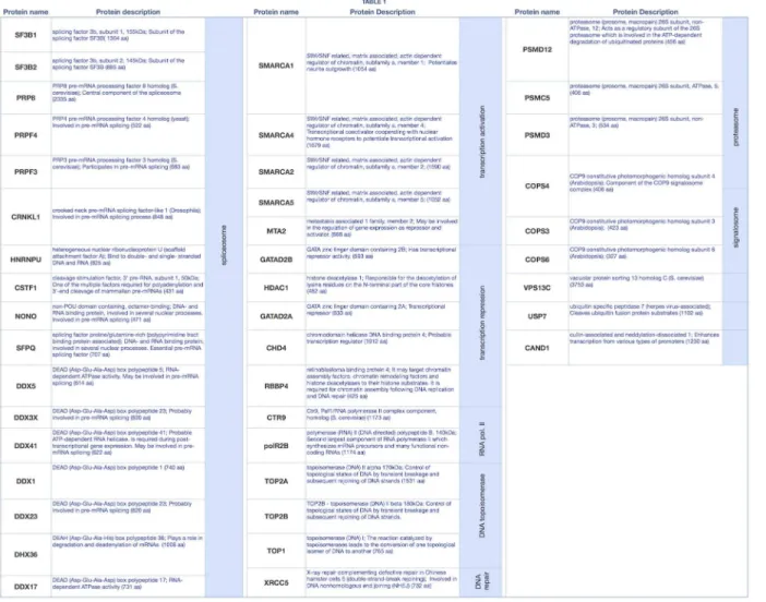 Fig 2. Names of proteins co-purifying with CSB-TAP fusion protein and their associated biological processes.