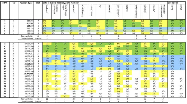 Figure 2. SNP selection within a single focal point (FP) of chromosomes (Chrs) 1 and 9