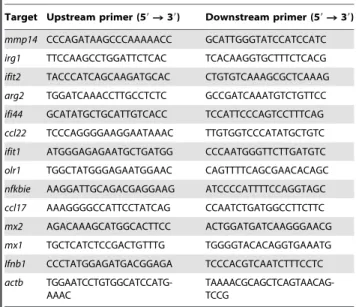 Figure S1 Time course of IFN-b expression and production in BMDM. (A) BMDM were stimulated with T