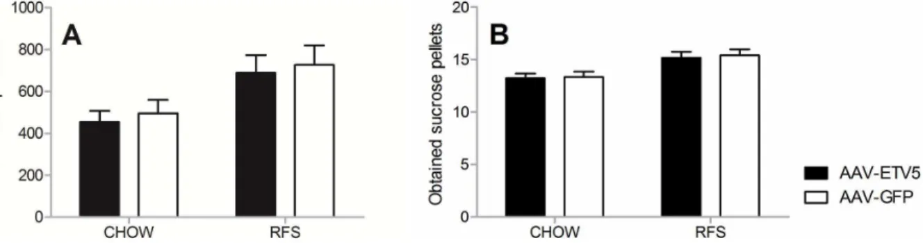 Figure 5. Infusion of AAV-ETV5 in the VTA/SNpc has no effect on performance in a PR schedule