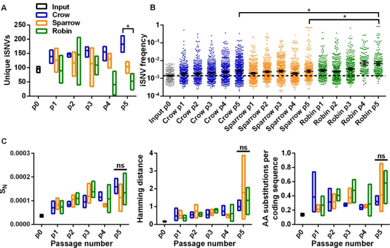 Fig 2. Disparate adaptive routes in birds lead to similar overall intrahost population complexity and diversity
