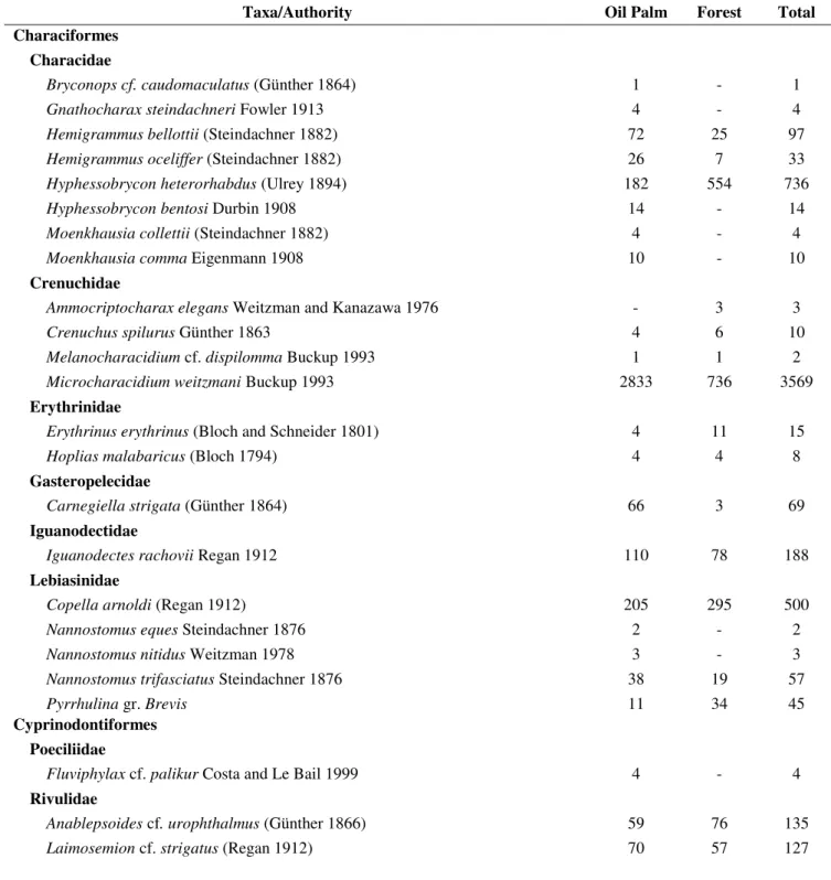 Table 2 Taxonomic composition and abundance of fish assemblages in streams located in oil palm  plantations and in forest fragments in the Eastern Amazon, northeastern Pará State, Brazil
