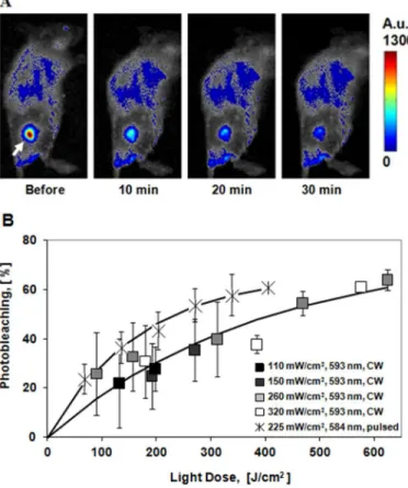 Fig 2. Photobleaching of KR in CT26-KR tumors. A) Fluorescence imaging of CT26-KR tumor in vivo during irradiation with the pulsed laser at 225 mW/cm 2 