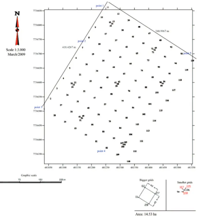 Figure 1. Outline of the experimental mesh of sampling.