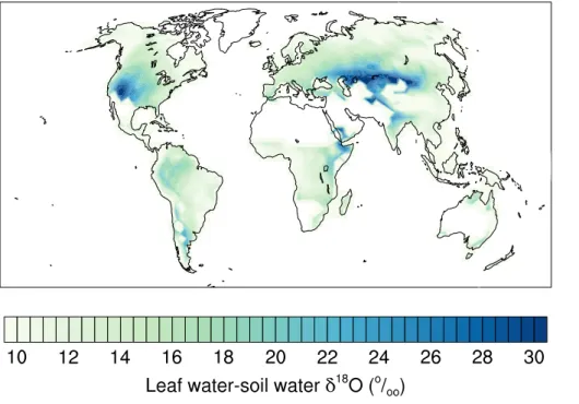 Figure 5. Leaf water 18 O enrichment above soil water δ 18 O averaged over all tree plant func- func-tional types and over 1961–2012 as simulated by LPX-Bern.