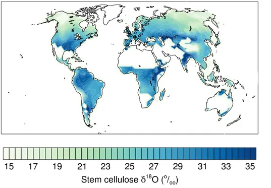 Figure 6. Stem cellulose δ 18 O averaged over all tree plant functional types and over 1961–