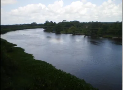 Figura 11 - Trecho do rio Guamá localizado na divisa entre os municípios de Irituia e São Miguel do  Guamá