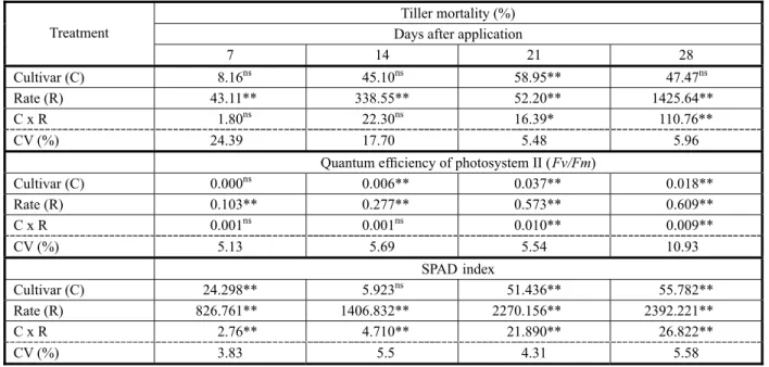 Table 1 - Values   of mean squares and coefficient of variation of analysis of variance for percentage of tiller mortality, quantum efficiency of photosystem II (F v /F m ) and SPAD index, as a function of sugarcane varieties and glyphosate rates at 7, 14 